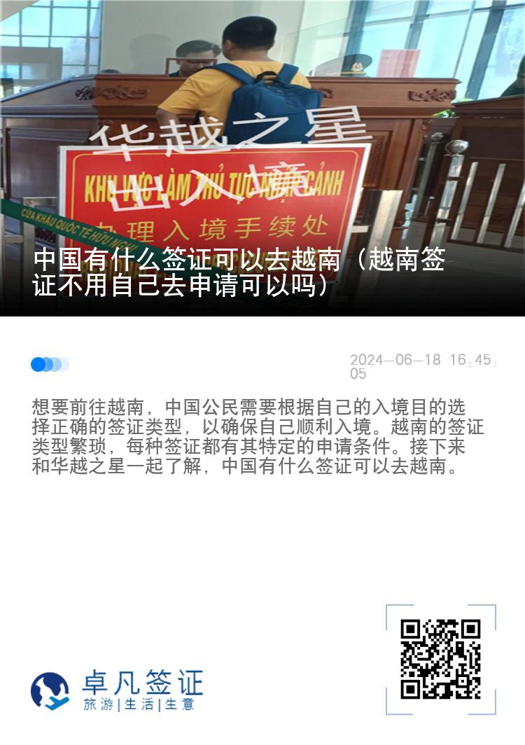 中国有什么签证可以去越南（越南签证不用自己去申请可以吗）