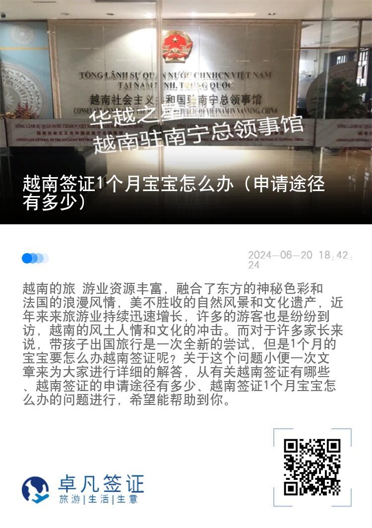 越南签证1个月宝宝怎么办（申请途径有多少）