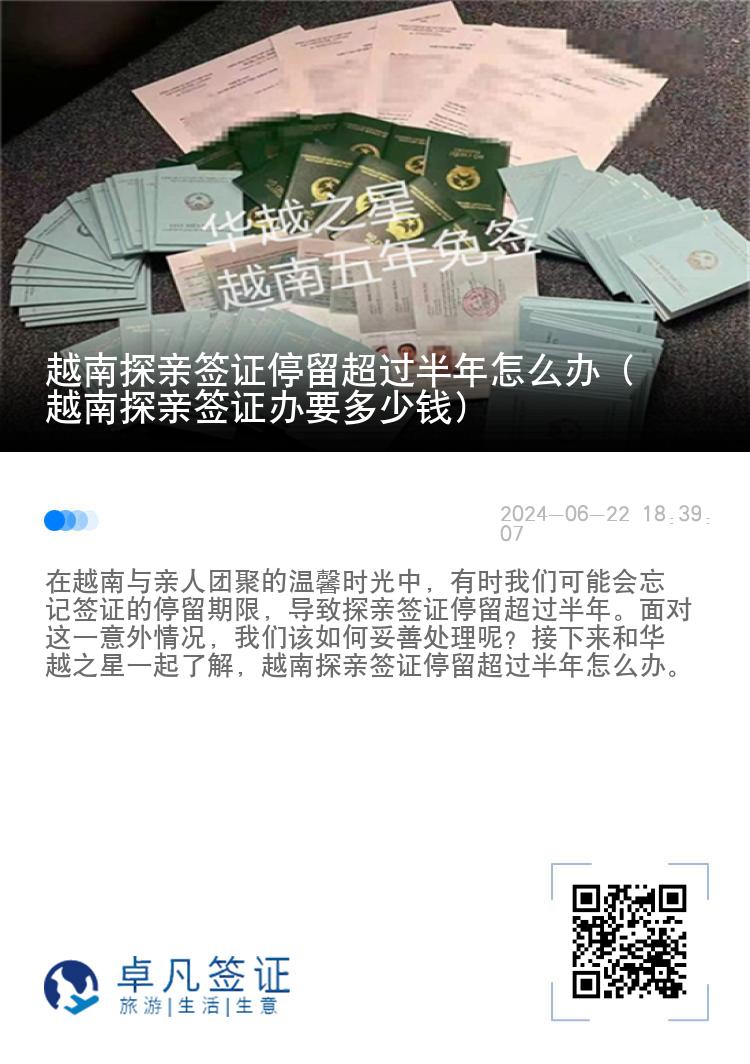 越南探亲签证停留超过半年怎么办（越南探亲签证办要多少钱）