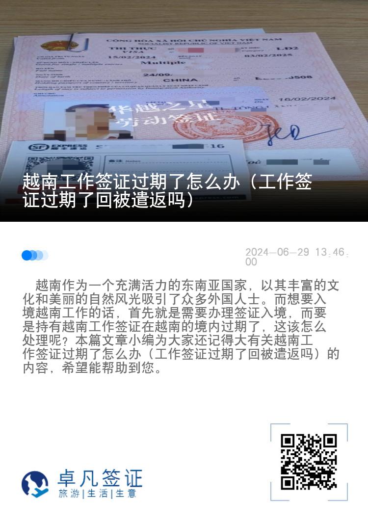 越南工作签证过期了怎么办（工作签证过期了回被遣返吗）