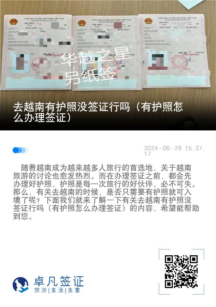 去越南有护照没签证行吗（有护照怎么办理签证）