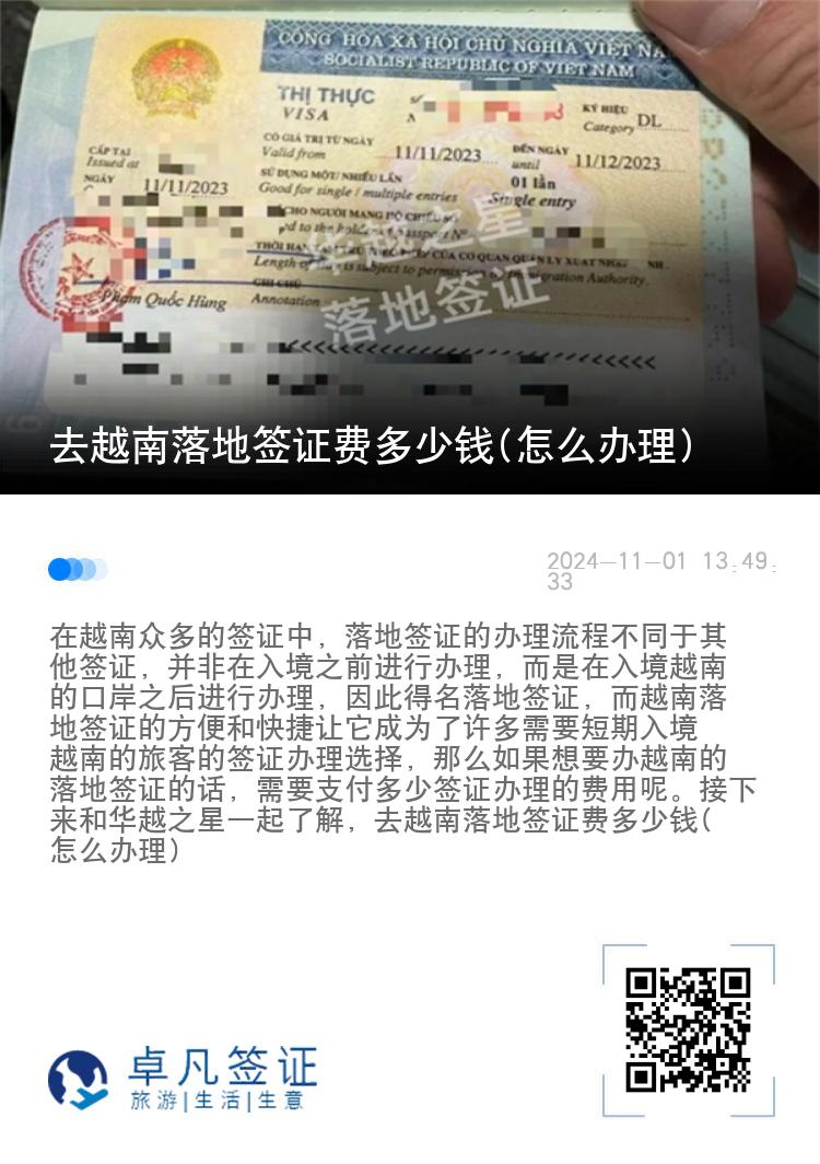 去越南落地签证费多少钱(怎么办理)