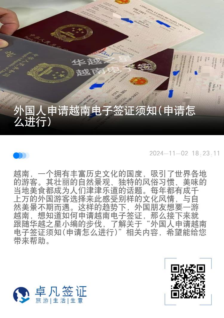 外国人申请越南电子签证须知(申请怎么进行)