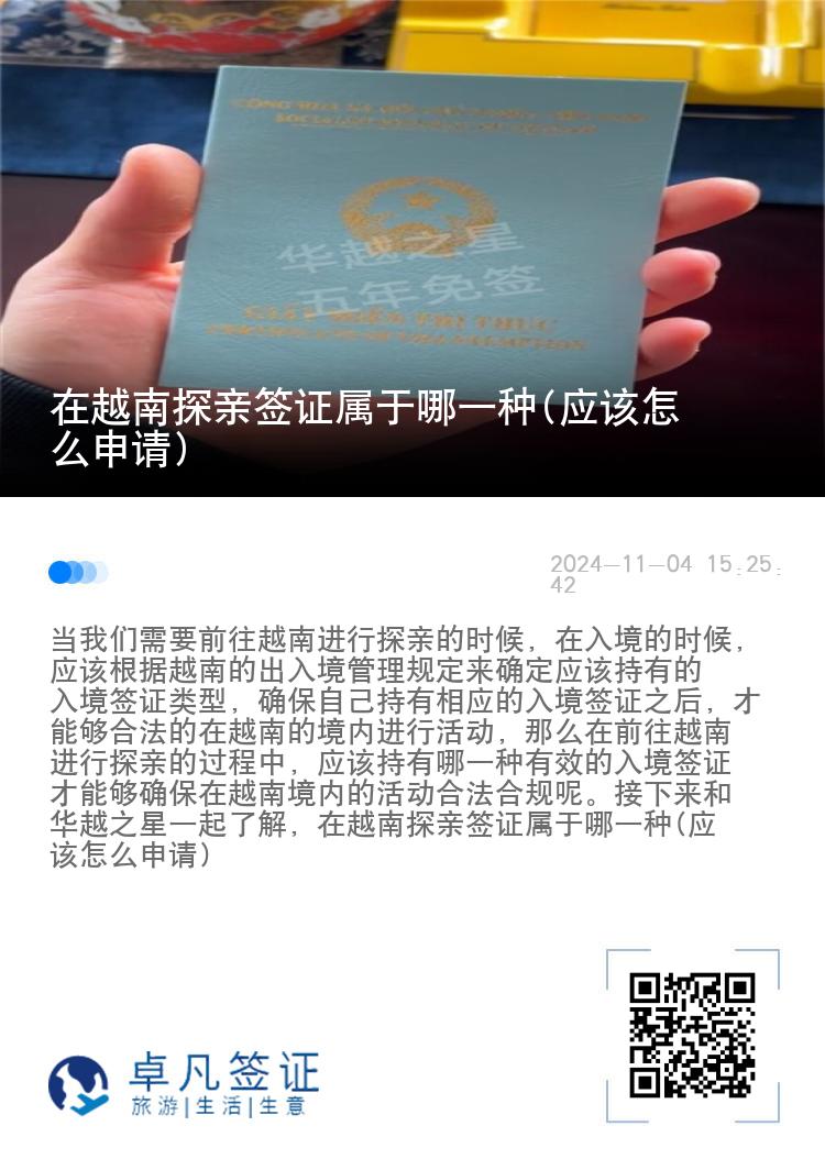 在越南探亲签证属于哪一种(应该怎么申请)