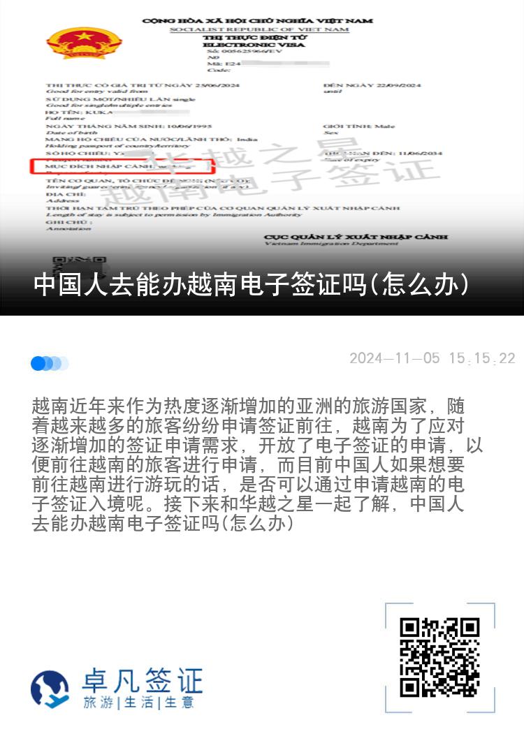 中国人去能办越南电子签证吗(怎么办)