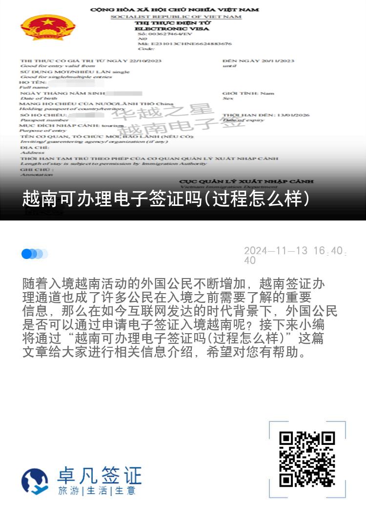 越南可办理电子签证吗(过程怎么样)