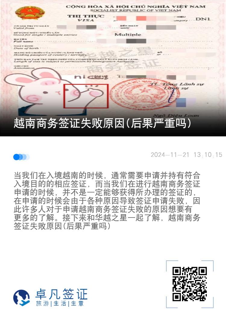 越南商务签证失败原因(后果严重吗)