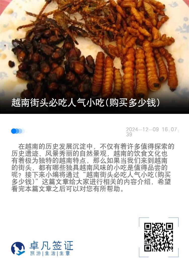 越南街头必吃人气小吃(购买多少钱)