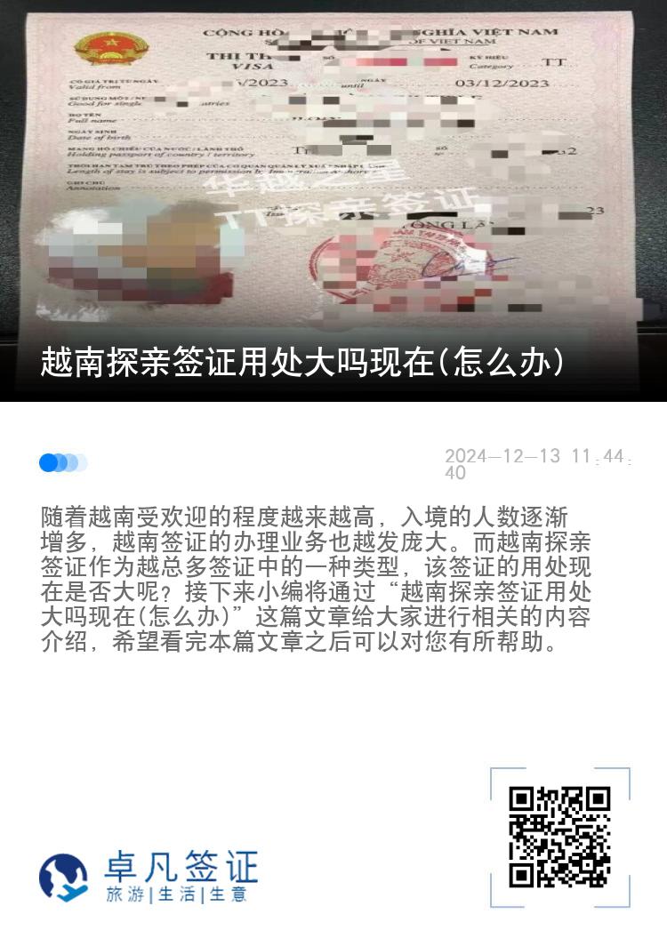 越南探亲签证用处大吗现在(怎么办)