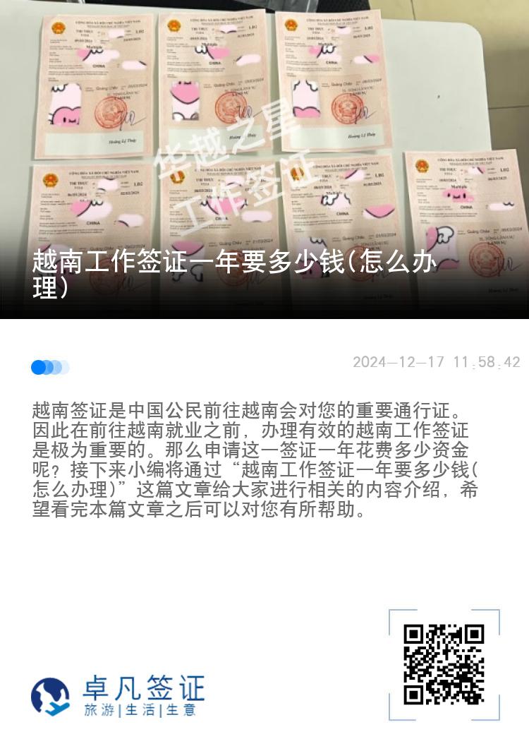 越南工作签证一年要多少钱(怎么办理)
