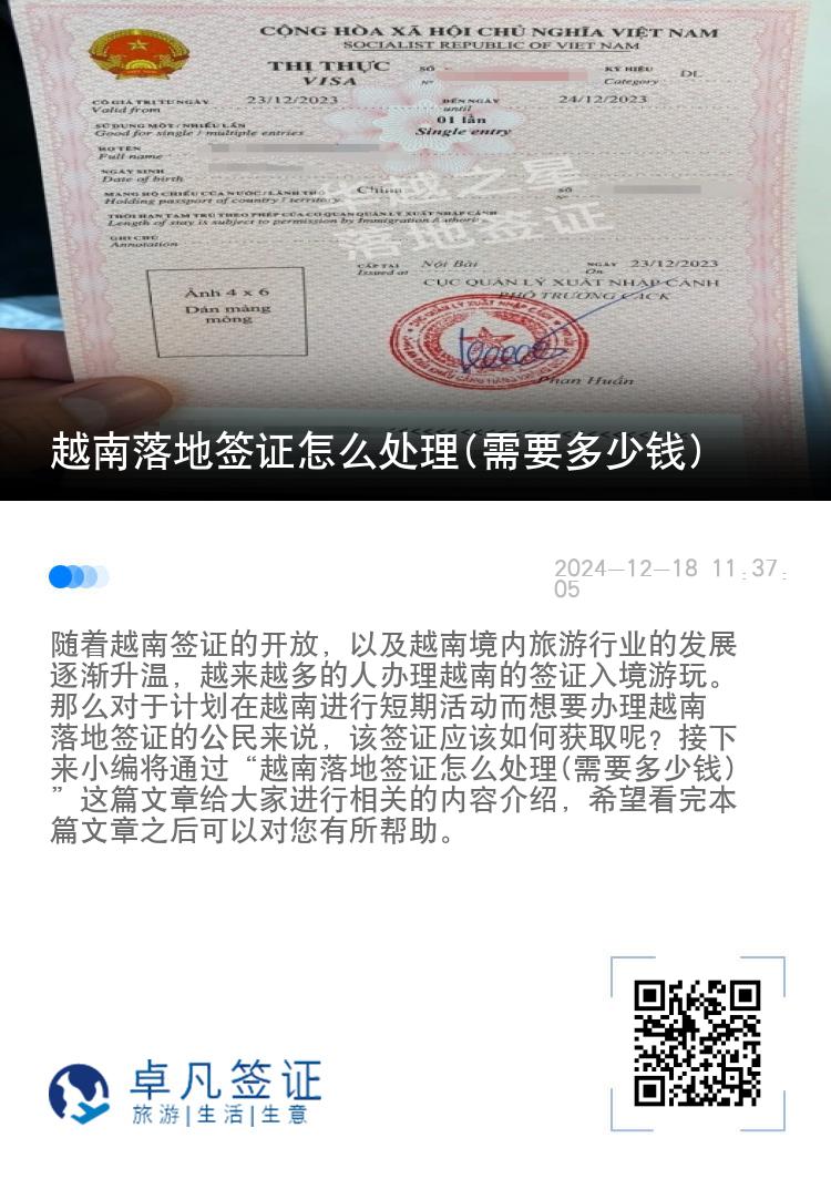 越南落地签证怎么处理(需要多少钱)