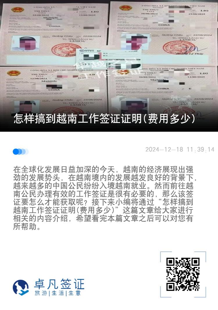 怎样搞到越南工作签证证明(费用多少)