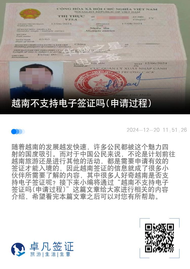 越南不支持电子签证吗(申请过程)