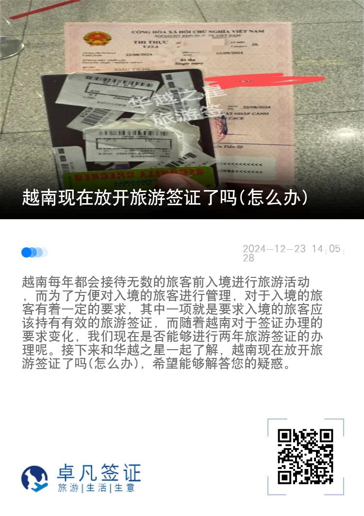 越南现在放开旅游签证了吗(怎么办)