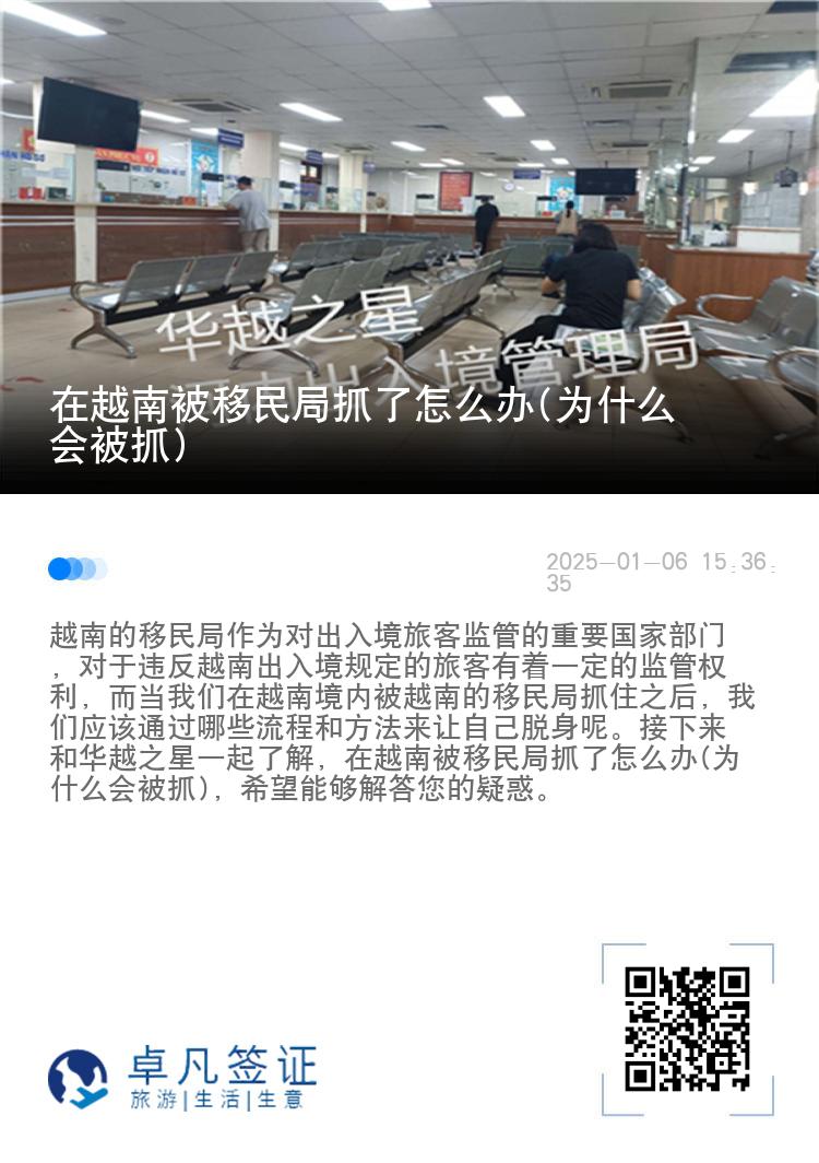 在越南被移民局抓了怎么办(为什么会被抓)
