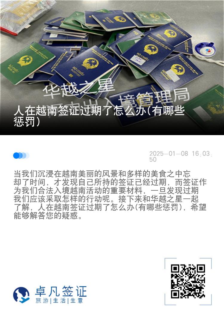 人在越南签证过期了怎么办(有哪些惩罚)