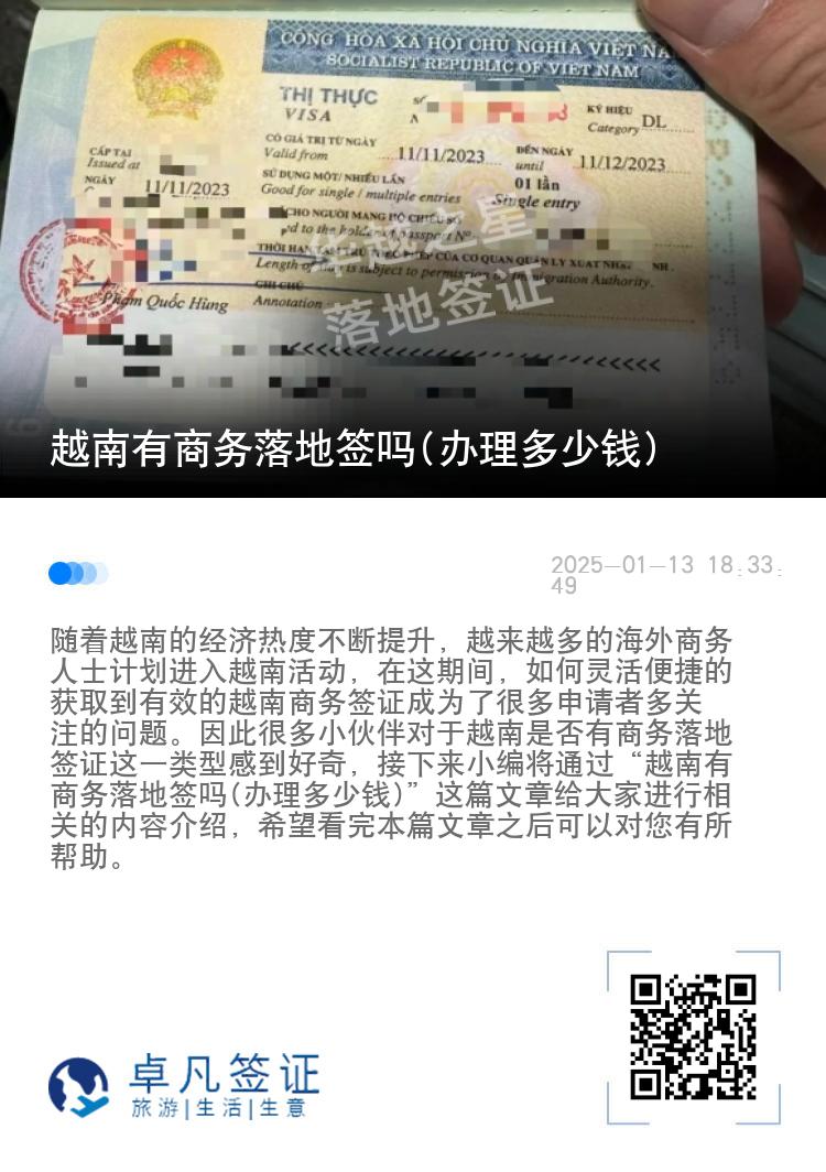 越南有商务落地签吗(办理多少钱)