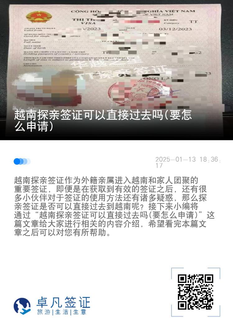 越南探亲签证可以直接过去吗(要怎么申请)