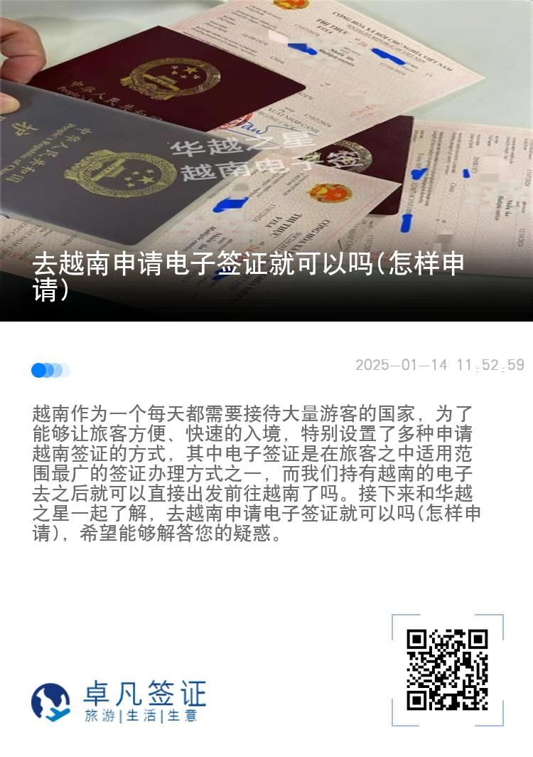 去越南申请电子签证就可以吗(怎样申请)