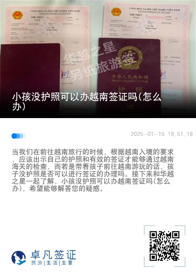小孩没护照可以办越南签证吗(怎么办)